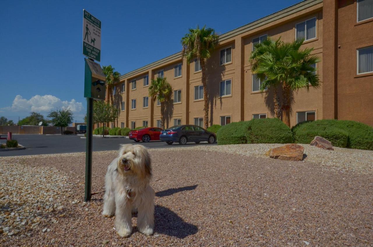 Holiday Inn Express Las Vegas-Nellis By Ihg Ngoại thất bức ảnh