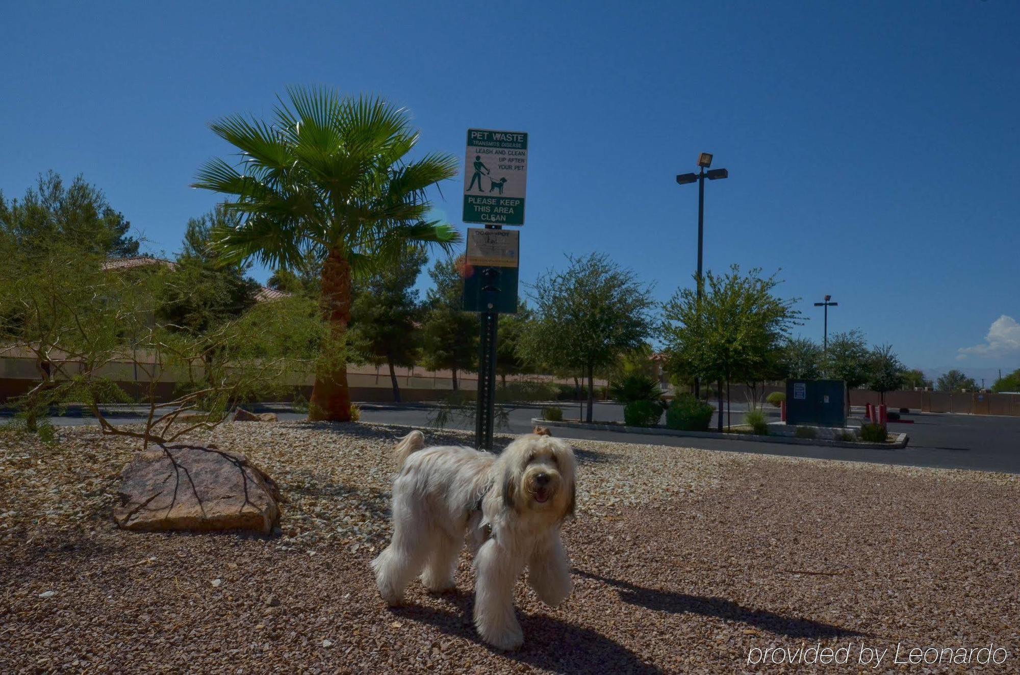 Holiday Inn Express Las Vegas-Nellis By Ihg Ngoại thất bức ảnh